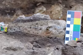 Phát hiện hóa thạch phân người cổ nhất thế giới