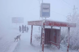 Sự thật đáng kinh ngạc về nơi lạnh nhất thế giới