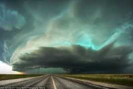 Ảnh đẹp lặng người của cuộc thi ảnh lớn nhất thế giới