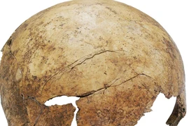 Ngôi mộ tập thể hé lộ cuộc thảm sát thời Đồ đá