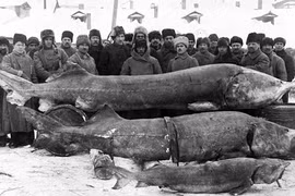 Kinh ngạc 10 bức ảnh lịch sử chưa một lần hé lộ 