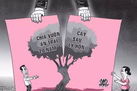 Rắc rối vụ vườn cây ăn trái của hai ông và một bà