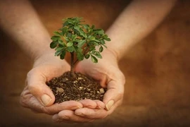 Có báu vật này thì cả đời bạn chẳng sợ điều gì, mọi tai ương đều qua hết 