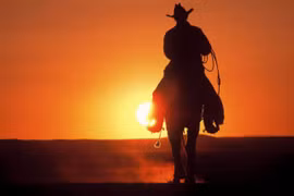 Những tiết lộ lý thú về cao bồi