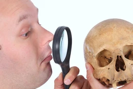 Khám phá 7 sự thật bất ngờ về đầu lâu người 