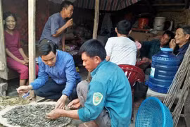 Nghệ An: Đào móng nhà, phát hiện 10kg tiền xu cổ