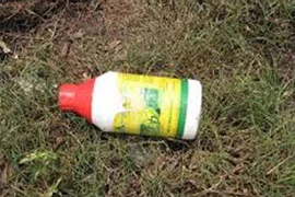 Thông tin mới nhất vụ vợ bỏ thuốc chuột vào lòng heo