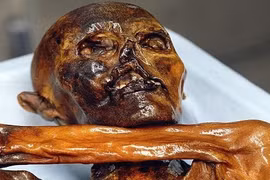  Sự thật ngỡ ngàng về bữa ăn cuối cùng của người băng Otzi