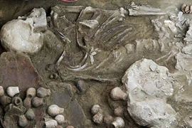 Bí ẩn hài cốt nữ tu 1.200 năm tuổi 