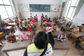 Cho học sinh ăn gạo mốc ở TQ: Lương tâm người thầy ở đâu? 