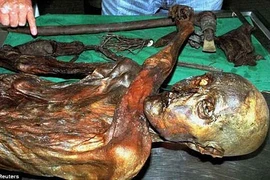 Tiết lộ cực sốc về xác ướp người băng cổ nhất châu Âu