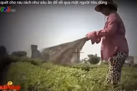 VTV đình chỉ phóng viên thực hiện phóng sự “Cây chổi quét rau“