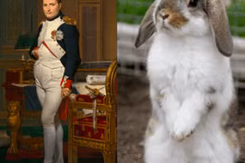 Giật mình kẻ thù không tưởng khiến Napoleon "kinh hồn bạt vía"