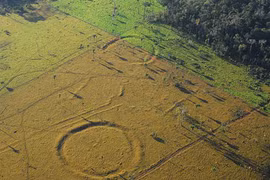 Giải mã cấu trúc 3.000 năm tuổi trong rừng rậm Amazon