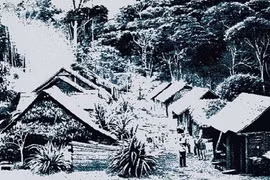 Bí ẩn vụ mất tích hơn 600 người dân ở Brazil 1923