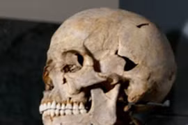 Tò mò cuộc sống “đại gia” 5.500 năm trước