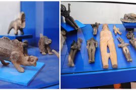 Cực nóng: Con người từng sống chung với khủng long cổ đại? 