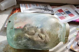 Kinh hãi hàng loạt xác ướp trẻ em trong lọ