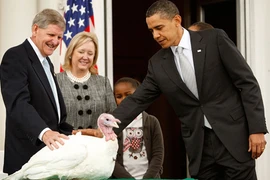 Khám phá bất ngờ về ngày lễ Tạ ơn