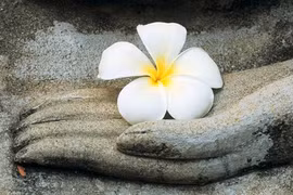 Phước đức vô lượng