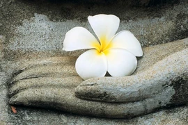 Phước đức vô lượng