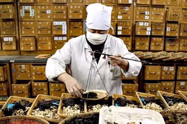 Những dạng thuốc cổ truyền nào được Bộ Y tế miễn thử lâm sàng?