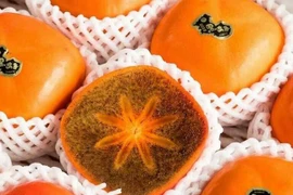 Hồng gì mà hơn 200.000 đồng 1 quả, dân Việt vẫn tấp nập hỏi mua?