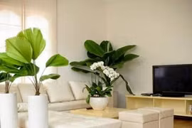 Thay đổi phong thủy trong nhà đón Thần Tài ghé thăm, gia chủ đổi vận nhanh chóng