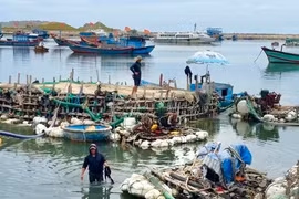 Vũng neo đậu tàu thuyền Lý Sơn bị bè hút cát lấn chiếm