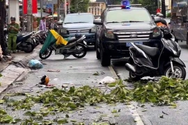 Đang trên đường đón con, người phụ nữ bị cây rơi trúng tử vong