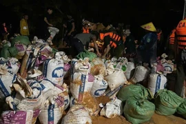 Vỡ đê sông Lô tại tỉnh Tuyên Quang, khẩn cấp ứng phó