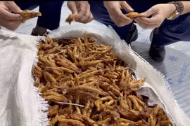 Gần 2 tấn chân gà bốc mùi, chảy nước suýt thì vào bụng người tiêu dùng