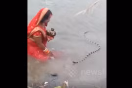 Đang đứng làm lễ, người phụ nữ bất ngờ bị rắn bò tới