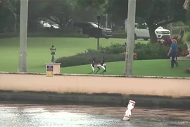 Chó robot được huy động tuần tra quanh dinh thự của ông Trump