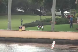 Chó robot được huy động tuần tra quanh dinh thự của ông Trump