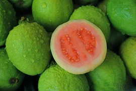 Loại trái cây dân dã mọc đầy miền quê siêu bổ dưỡng