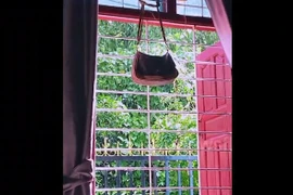 Người phụ nữ nhìn thấy cảnh bất ngờ bên ngoài cửa sổ