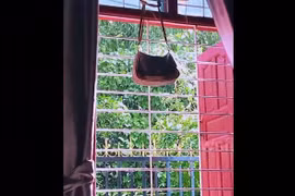 Người phụ nữ nhìn thấy cảnh bất ngờ bên ngoài cửa sổ