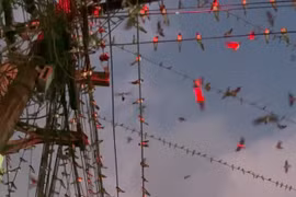 Người đàn ông ngỡ ngàng khi thấy cảnh tượng kỳ lạ trên đường