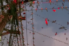 Người đàn ông ngỡ ngàng khi thấy cảnh tượng kỳ lạ trên đường