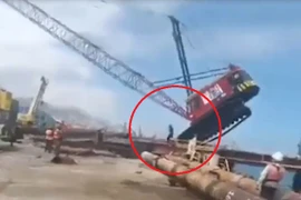 Cần cẩu bất ngờ đổ sập, người lái thoát cửa tử trong tích tắc 