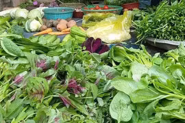 Hà Nội: Người dân “chờ dài cổ” ngày nông sản hạ giá