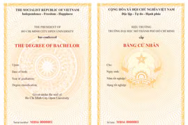 Trách nhiệm hình sự đối với việc sử dụng bằng cấp giả?