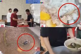 Đơn vị nấu ăn trong trường ĐH Bách khoa bị ngưng hợp đồng trong đêm