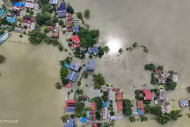 Người dân ngoại thành hà nội mất trắng hoa màu, vật nuôi do lũ