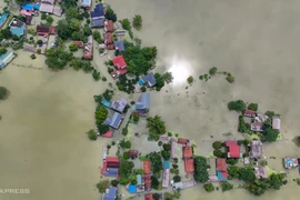 Người dân ngoại thành hà nội mất trắng hoa màu, vật nuôi do lũ
