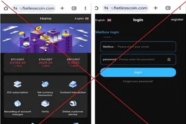 Người đàn ông ở Hà Nội mất 30 tỷ vì được gái xinh trên mạng rủ đầu tư