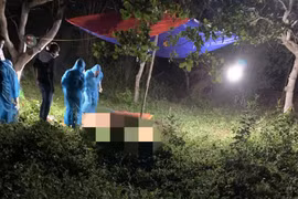 Phát hiện thi thể 1 phụ nữ không còn nguyên vẹn bị vùi lấp trong vườn điều