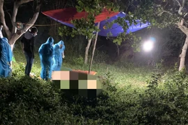 Phát hiện thi thể 1 phụ nữ không còn nguyên vẹn bị vùi lấp trong vườn điều