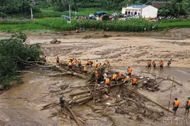 Đình chỉ 2 chủ tịch xã né tránh trách nhiệm trong mưa bão
